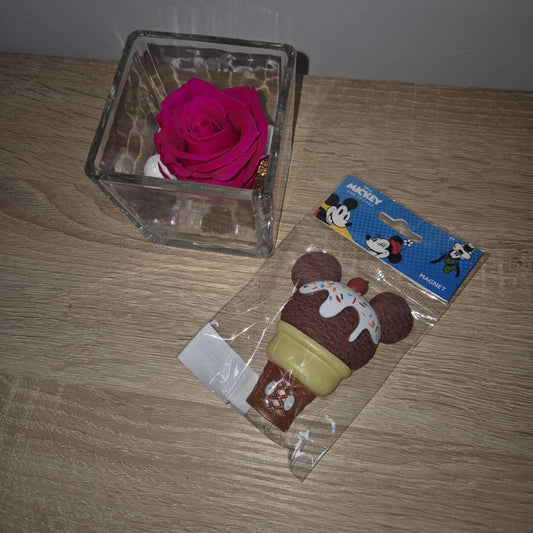 Magnet Disney Ice Cream