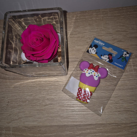Magnet Minnie Ice Cream